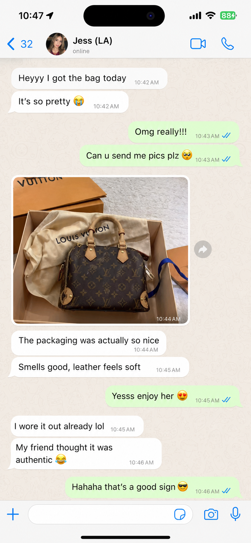 WhatsApp Client Conversation 5